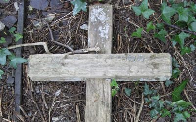 Aber – St Bodfan Churchyard, Caernarfonshire